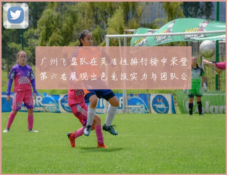 广州飞盘队在灵活性排行榜中荣登第六名展现出色竞技实力与团队合作精神