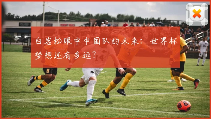 白岩松眼中中国队的未来：世界杯梦想还有多远？